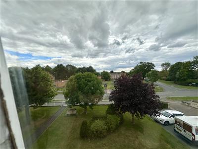 Picture 14